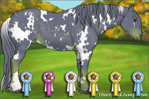 Horse Color:Watercolor White Spotted Liver Chestnut 