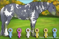 Horse Color:Watercolor White Spotted Liver Chestnut