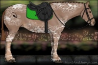 Horse Color:Chestnut Ice 