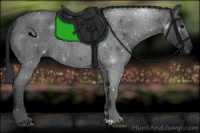 Horse Color:Blue Roan 