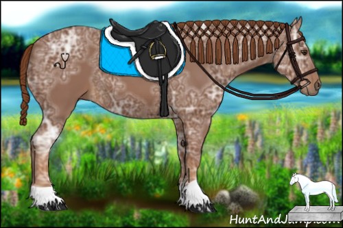 Horse Color:Chestnut Ice 