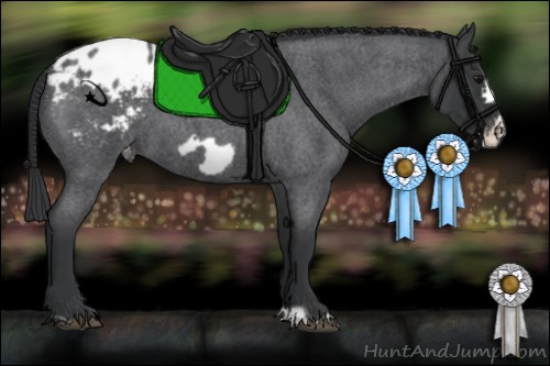 Horse Color:Blue Roan Frame Varnish 