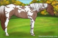 Horse Color:Red Roan Tobiano 