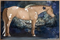 Horse Color:White Spotted Brown Pearl 