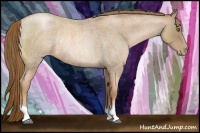 Horse Color:Liver Red Roan Pearl Rabicano 