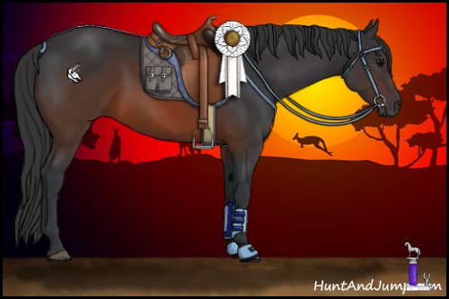 Horse Color:Brown 