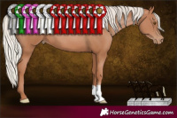 Horse Color:Silver Black Pearl 