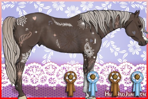 Horse Color:Silver Black 