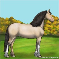 Horse Color:Bay Roan Dun