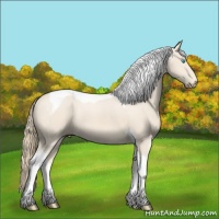 Horse Color:Perlino Tobiano 
