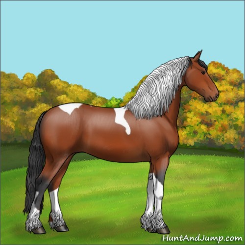 Horse Color:Bay Tobiano 