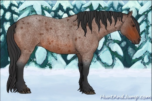 Horse Color:Bay Roan Rabicano