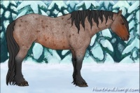 Horse Color:Bay Roan Rabicano 