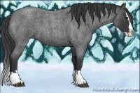 Horse Color:Blue Roan Splash 