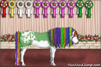 Horse Color:Gray Painted Watercolor Bay Roan Splash Appaloosa 