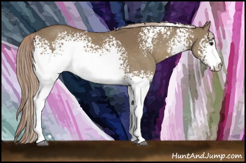 Horse Color:White Spotted Chocolate Palomino 