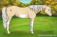 Horse Color:Silver Classic Cream Champagne Dun Splash Frame 