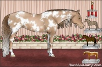Horse Color:White Spotted Liver Chestnut Pearl