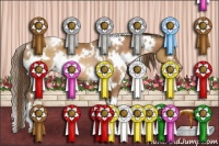 Horse Color:White Spotted Brown Pearl 