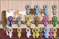 Horse Color:White Spotted Brown Pearl 