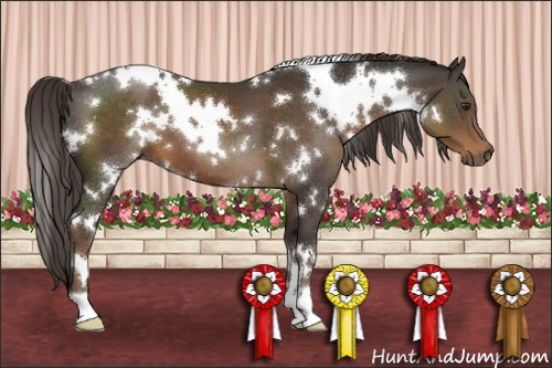 Horse Color:White Spotted Liver Chestnut 