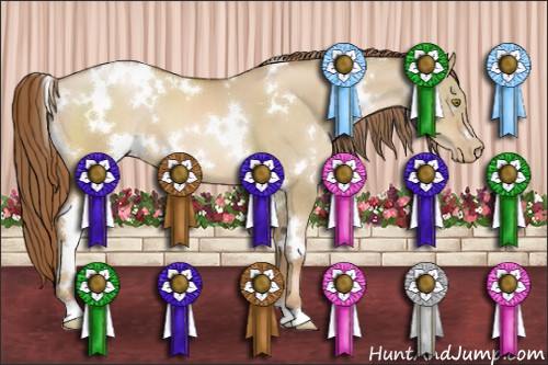 Horse Color:White Spotted Liver Red Dun Pearl
