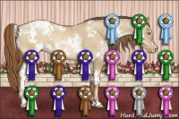 Horse Color:White Spotted Liver Red Dun Pearl 