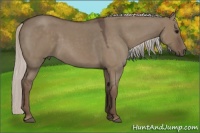 Horse Color:Silver Grullo Roan 