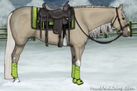 Horse Color:Silver Smoky Grullo Roan 