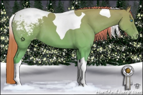 Horse Color:Perlino Tobiano Appaloosa 