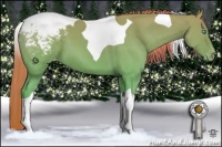 Horse Color:Perlino Tobiano Appaloosa 