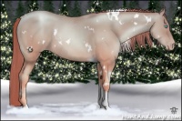 Horse Color:White Spotted Amber Cream Champagne Pearl Tobiano 