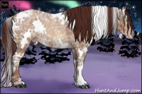Horse Color:Gray White Spotted Chocolate Sable Champagne Ice