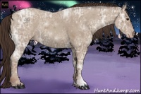 Horse Color:Classic Champagne Ice 