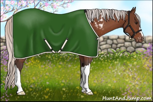 Horse Color:Silver Bay Blanket 