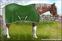 Horse Color:Silver Bay Blanket