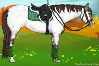 Horse Color:Bay Dun Appaloosa 