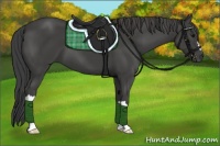 Horse Color:Smoky Black 
