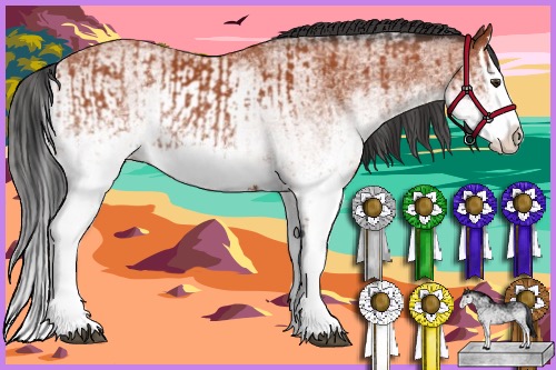 Horse Color:White Spotted Bay Splash  and White Spotted Bay Splash 