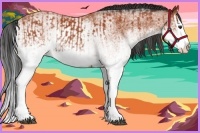 Horse Color:White Spotted Bay Splash  and White Spotted Bay Splash 