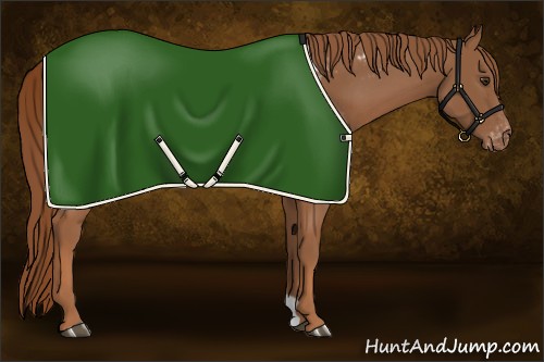 Horse Color:Chestnut Blanket
