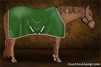 Horse Color:Chestnut Blanket 