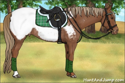 Horse Color:Chestnut Snowcap Rabicano 