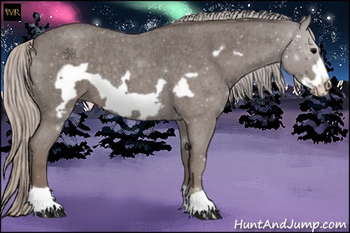 Horse Color:Silver Blue Roan Frame 