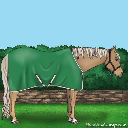 Horse Color:Palomino 