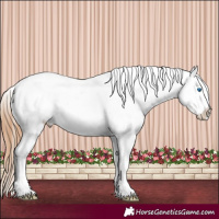 Horse Color:Red Dun Splash Blanket