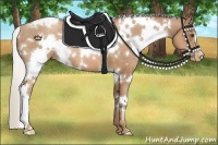 Horse Color:White Spotted Silver Brown Pearl 