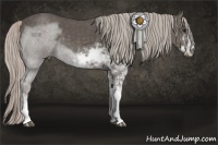 Horse Color:Silver Black Sabino 