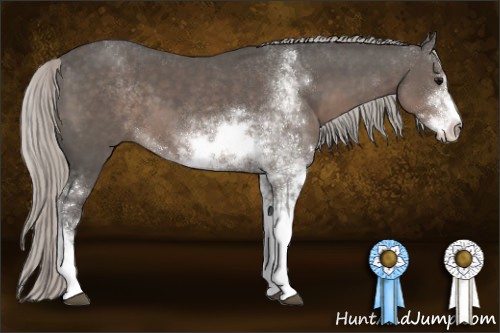 Horse Color:Silver Black Sabino 