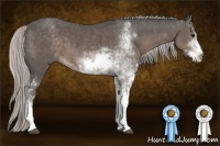 Horse Color:Silver Black Sabino 